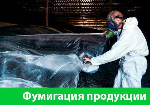 Фумигация продукции в городе Грозный